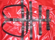 Strap Armbinder Restraint